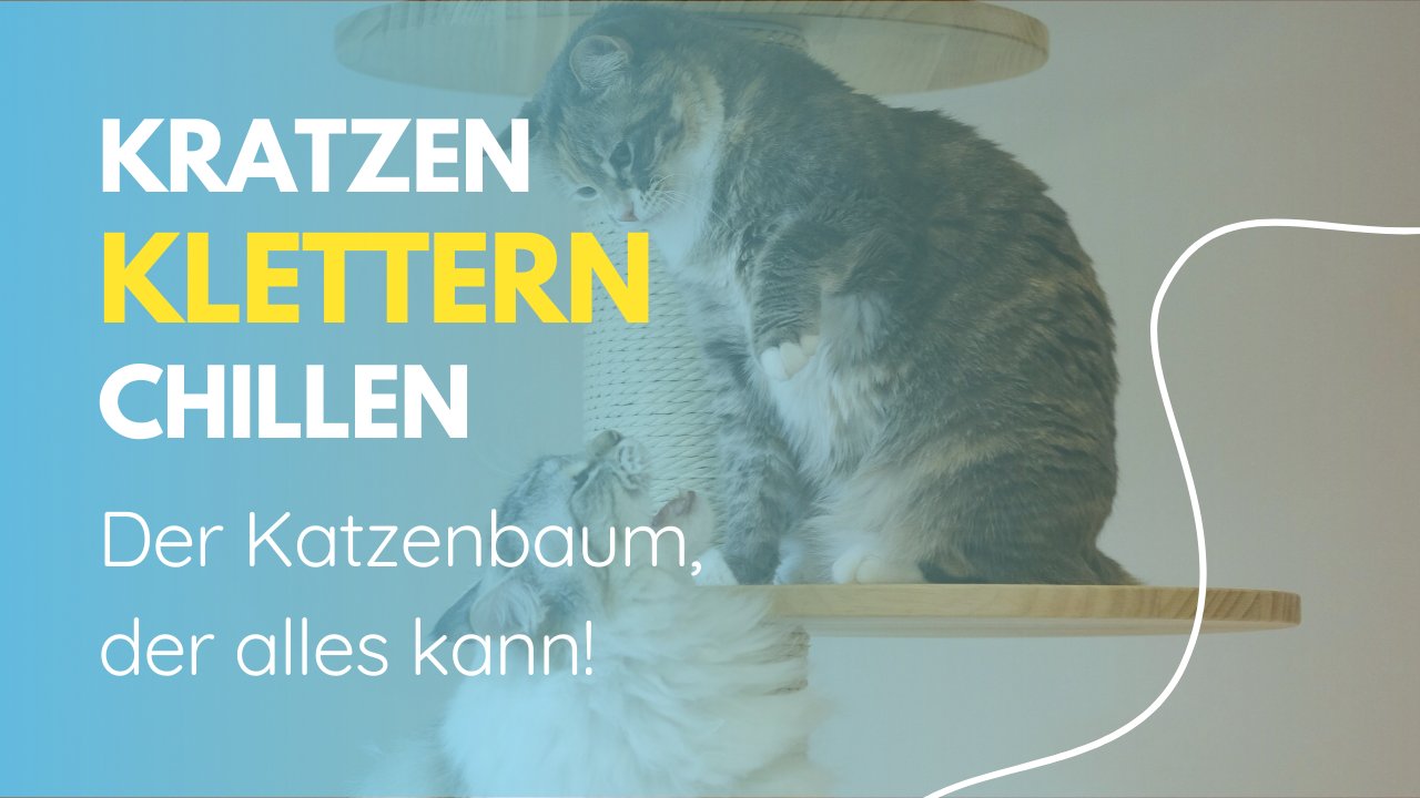 Kratzen, Klettern, Chillen: Der Katzenbaum, der alles kann!
