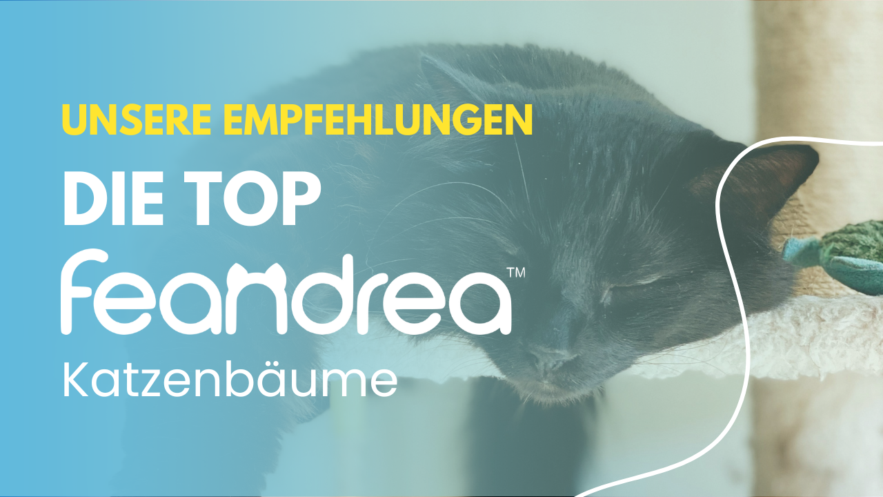 Unsere Empfehlung: Die Top FEANDREA-Katzenbäume