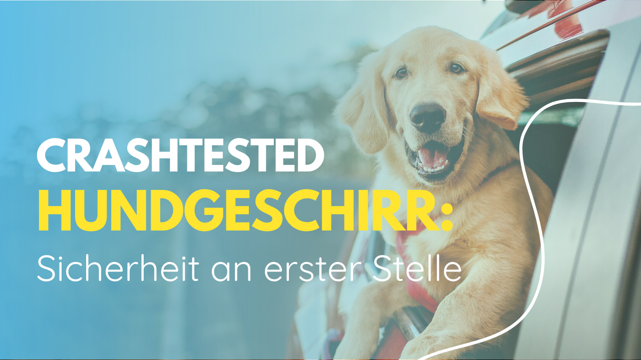 Ein crashtested Hundegeschirr ist darauf ausgelegt, maximalen Schutz für Ihren Hund im Falle eines Unfalls zu gewährleisten.