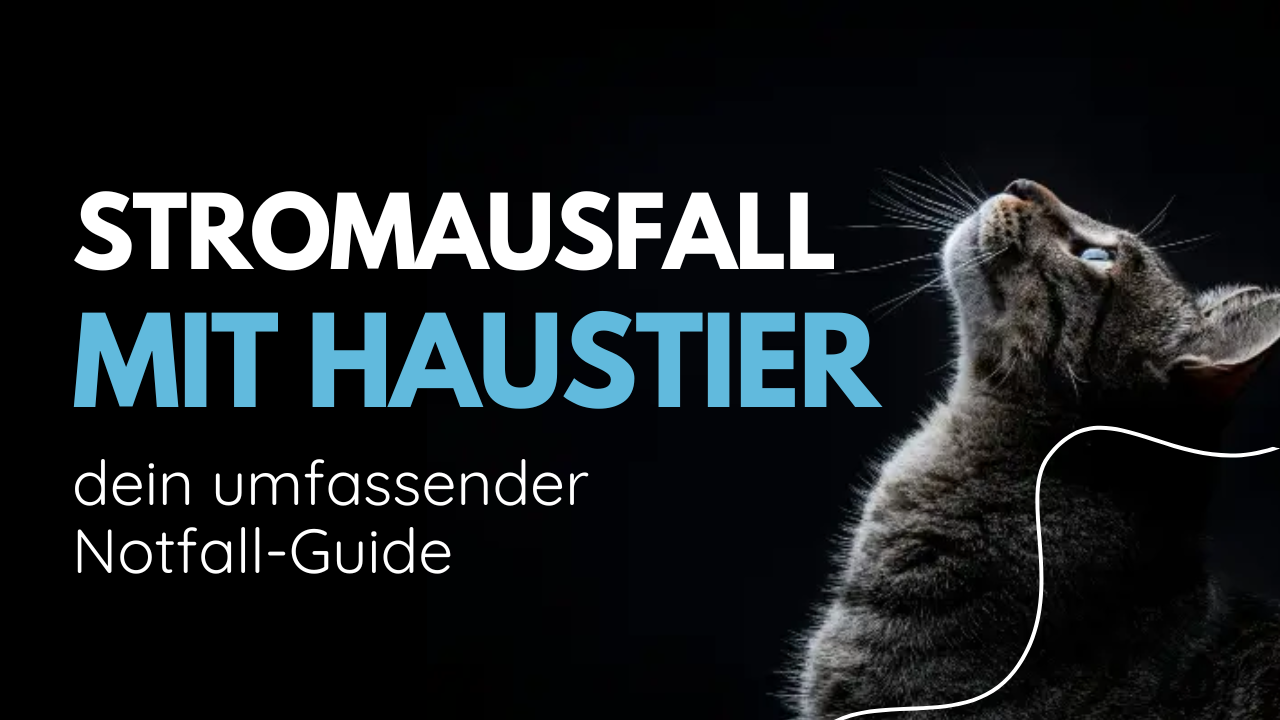Stromausfall mit Haustier: dein umfassender Notfall-Guide